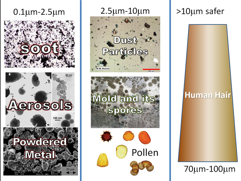 Collage of Particulates