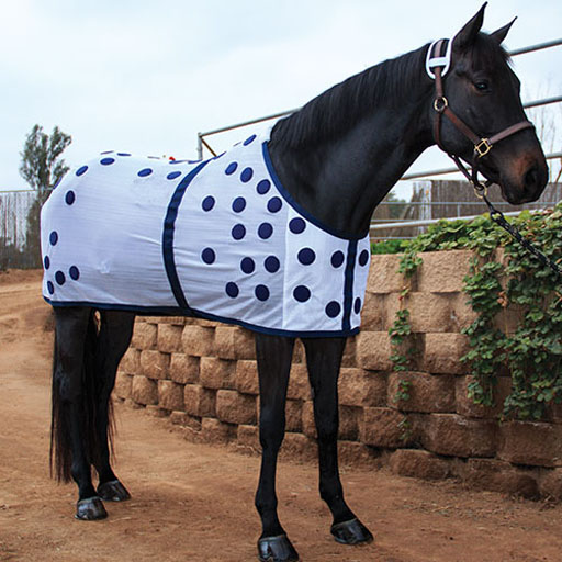 Magnet blanket on horse