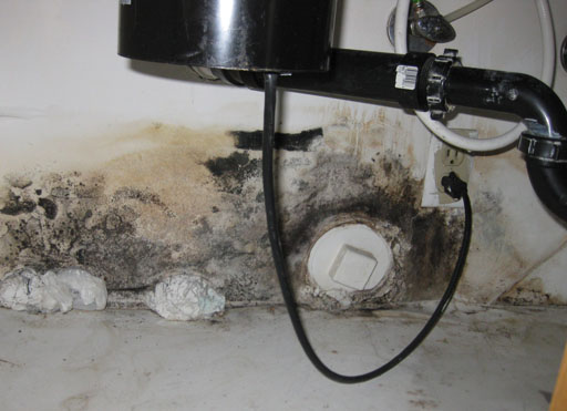 Water leak and mold