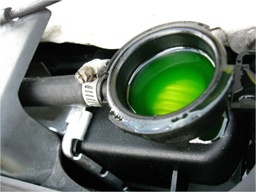 antifreeze inside of radiator