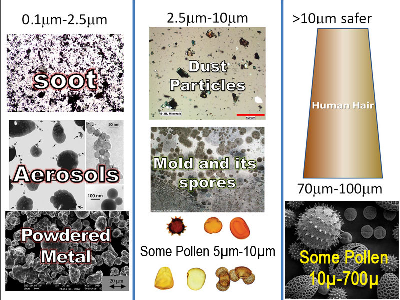 Collage of Particulates