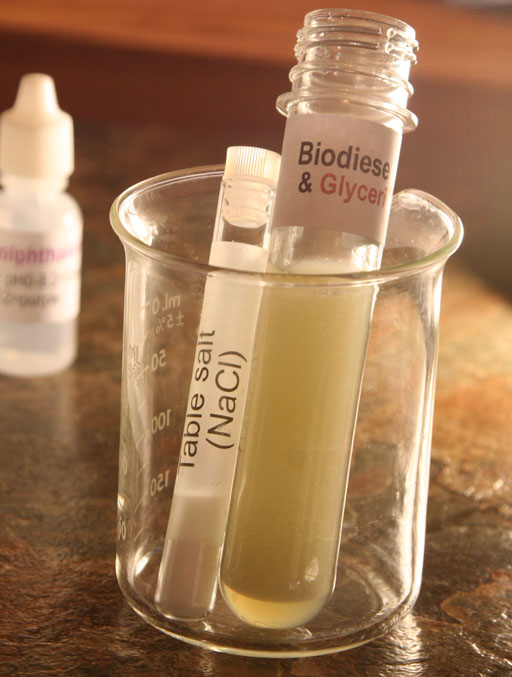 Test tube with salt and test tube with biodiesel