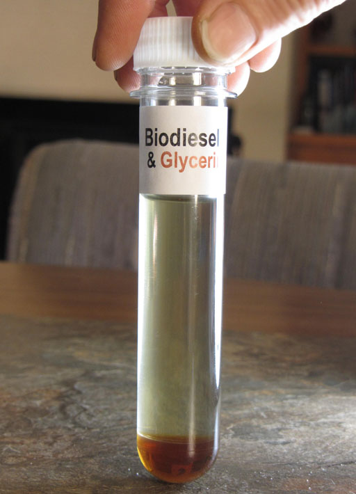 biodiesel in large test tube