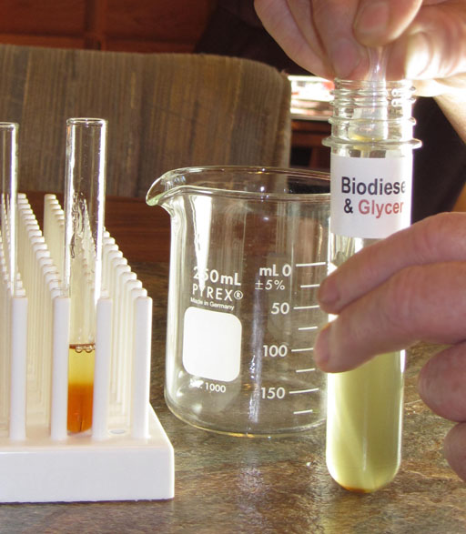 transfer biodiesel to test tube