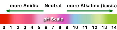 Red Cabbage pH scale