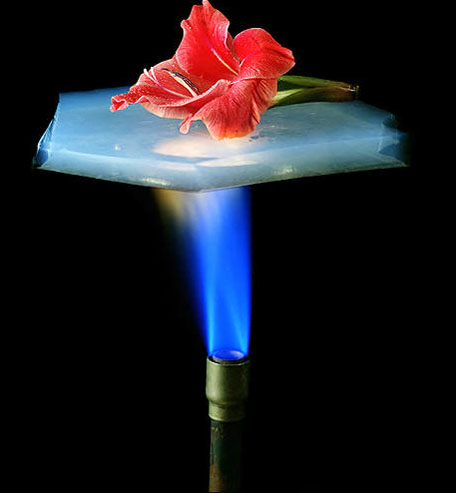 Aerogel and flower being heated with flame