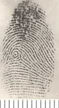 silver nitrate fingerprint