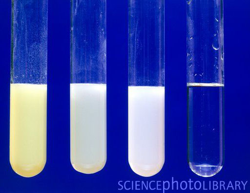 silver halides in test tubes