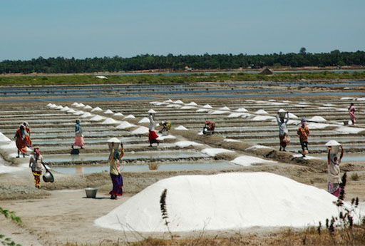 making salt by drying sea water