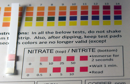 lead nitrate and zinc chloride precipitate color