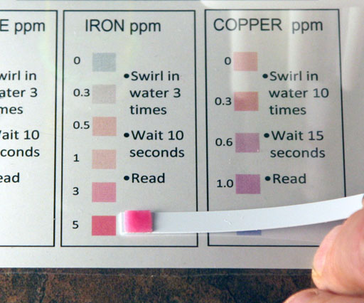 reading the iron test strip using color chart