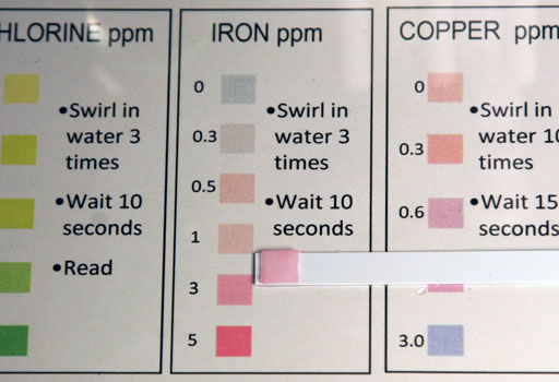 reading iron test strip after diluted. Shows 2 ppm
