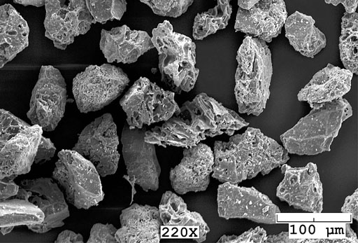Scanning electron microscope image of particles