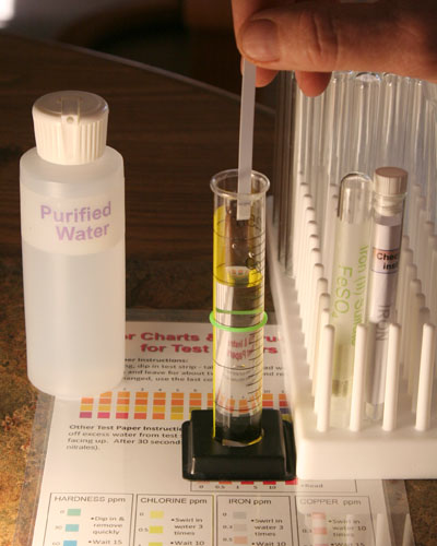 Dipping iron test strip into 20mL graduated cylinder