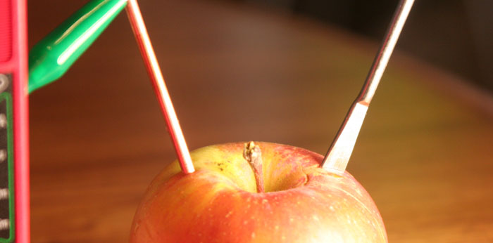 Spatula cuts hole in apple