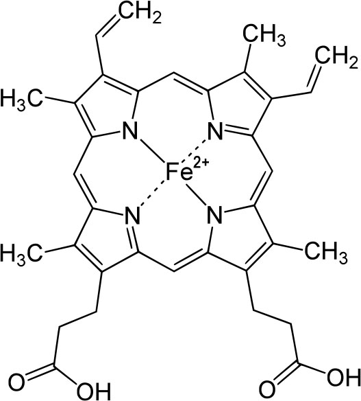 heme structure