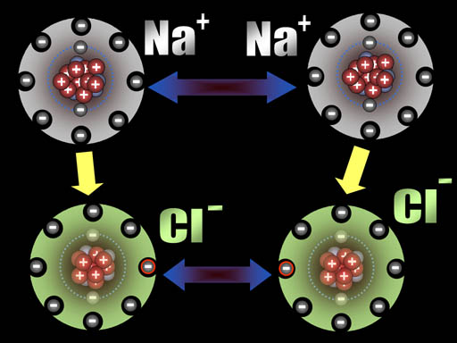 chlorine model project