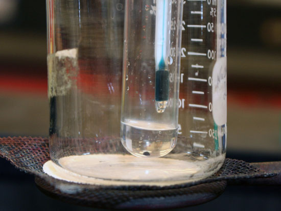 5mL in test tube with thermometer