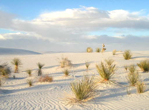 white sands new mexico