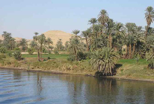 along the nile