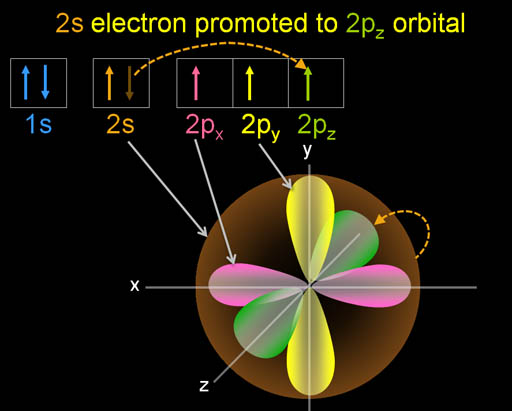 Carbon s orbital